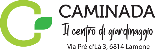 Caminada